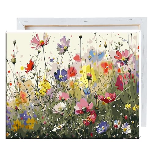 JATOK Malen Nach Zahlen Erwachsene mit Rahmen, Paint by Numbers Malen Nach Zahlen, DIY Blume mit Pinseln und Acrylfarben Handgemalt Ölgemälde Leinwand für Home Decor, 30x40CM/12x16in JATOK Malen Nach Zahlen Erwachsene mit Rahmen, Paint by Numbers Malen Nach Zahlen, DIY Blume mit Pinseln und Acrylfarben Handgemalt Ölgemälde Leinwand für Home Decor, 30x40CM/12x16in von JATOK