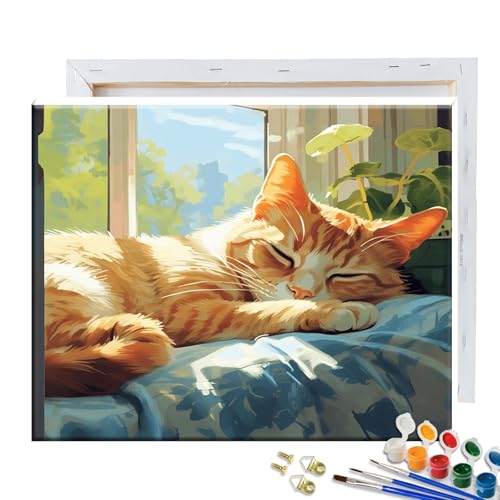 JATOK Malen Nach Zahlen Erwachsene mit Rahmen, Paint by Numbers Malen Nach Zahlen, DIY Katze mit Pinseln und Acrylfarben Handgemalt Ölgemälde Leinwand für Home Decor, 30x40CM/12x16in JATOK Malen Nach Zahlen Erwachsene mit Rahmen, Paint by Numbers Malen Nach Zahlen, DIY Katze mit Pinseln und Acrylfarben Handgemalt Ölgemälde Leinwand für Home Decor, 30x40CM/12x16in von JATOK