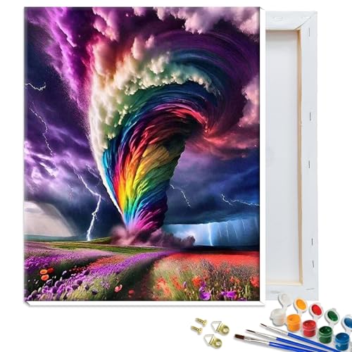 JATOK Malen Nach Zahlen Erwachsene mit Rahmen, Paint by Numbers Malen Nach Zahlen, DIY Tornado mit Pinseln und Acrylfarben Handgemalt Ölgemälde Leinwand für Home Decor, 30x40CM/12x16in von JATOK