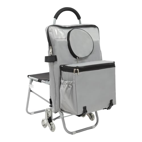 JAYEUW Einkaufswagen Treppensteiger Trolley Einkaufstrolley Klappbar Treppenwagen mit Oxford-Stoff Sitz, Rollender Stuhl Kunstwagen mit Lagerung Staffelei-Wagen (Silber) von JAYEUW