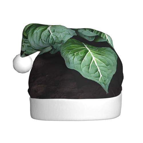 JAYWIS Grüne Sukkulenten – Druck für Erwachsene, Plüsch-Weihnachtsmütze, Weihnachtsmann-Stil, Bommel, warm, weich, Feiertags-Kopfbedeckung für Partys, Weihnachtsfeiern. JAYWIS Grüne Sukkulenten – Druck für Erwachsene, Plüsch-Weihnachtsmütze, Weihnachtsmann-Stil, Bommel, warm, weich, Feiertags-Kopfbedeckung für Partys, Weihnachtsfeiern. von JAYWIS