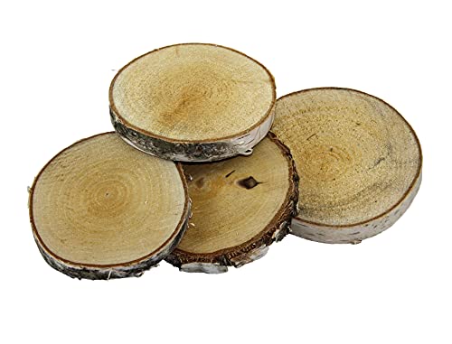 jb 12 Birkenscheiben rund 10-13 cm Birkenscheiben runde Holzscheiben Birkenstamm geschnitten Birkenkolz Holz Astscheibe Deko von jb
