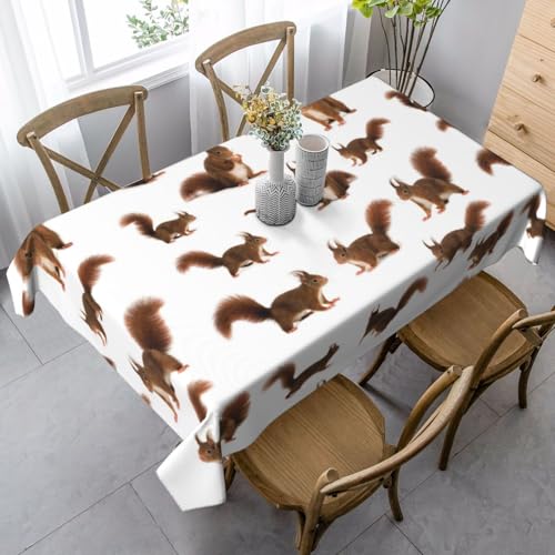 JBYJBX Rechteckige Tischdecke mit niedlichem Eichhörnchen-Druck, für Esszimmer, Party, Innen- und Außenbereich, dekorative Tischdecke von JBYJBX