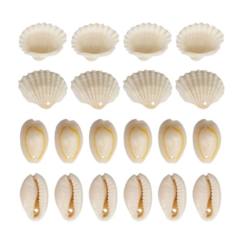 1 Set Strandmuschelschalen mit Loch, Bastelmuscheln, natürliche Muschelperlen, Bastelzubehör für die Schmuckherstellung 1 Set Strandmuschelschalen mit Loch, Bastelmuscheln, natürliche Muschelperlen, Bastelzubehör für die Schmuckherstellung von JDNH