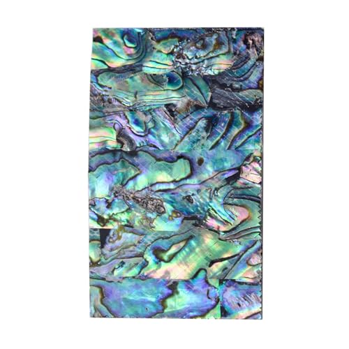 JDNH Abalones Muschel-Aufkleber, ästhetischer Aufkleber für Scrapbooking, Handyhüllen, Schmuckherstellung, handgefertigte Basteldekoration JDNH Abalones Muschel-Aufkleber, ästhetischer Aufkleber für Scrapbooking, Handyhüllen, Schmuckherstellung, handgefertigte Basteldekoration von JDNH