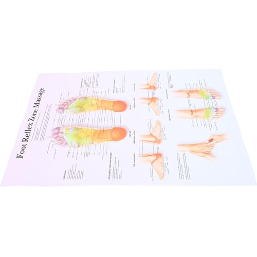 JECOMPRIS Fußreflexzonen-Diagramm-Poster: Wand-Akupressur-Massage-Diagramm Leinwanddrucke Fuß-Triggerpunkt-Wandkunst Gesundheitswissen-Diagrammbild Für Therapeuten 40 X 30 Cm von JECOMPRIS