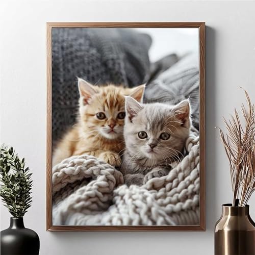 Diamond Painting Erwachsene Katze Diamond Painting Kinder Tier 5D DIY Runden Mosaikherstellung Basteln Erwachsene Anfänger Set für Heim Schlafzimmer Wand Deko Wohnzimmer, Geschenke 30x40cm JPF 9-1 von JEPGFOU