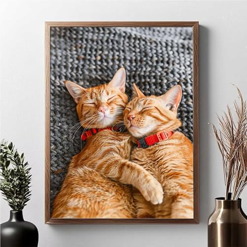 Diamond Painting Katze, Diamond Painting Erwachsene Tier Diamant Malerei Bilder Full Drill 5D DIY Diamont Art Stickerei Set Geeignet Als Geschenk, Zur Entspannung und Wanddeko 40 x 50 cm JPF 2-E von JEPGFOU