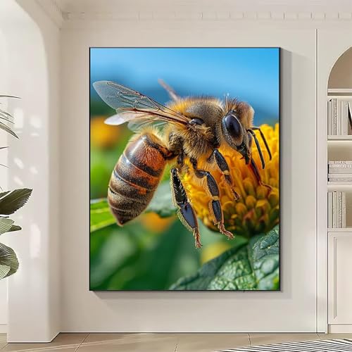 Insekt Diamond Painting XXL Biene Diamond Art Bilder Erwachsene Dimond Painting Kinder Mosaikherstellung Stickerei Kreuzstich Malerei Kits Basteln für Erwachsene Wanddeko, Geschenke 40x50cm P-C Insekt Diamond Painting XXL Biene Diamond Art Bilder Erwachsene Dimond Painting Kinder Mosaikherstellung Stickerei Kreuzstich Malerei Kits Basteln für Erwachsene Wanddeko, Geschenke 40x50cm P-C von JEPGFOU