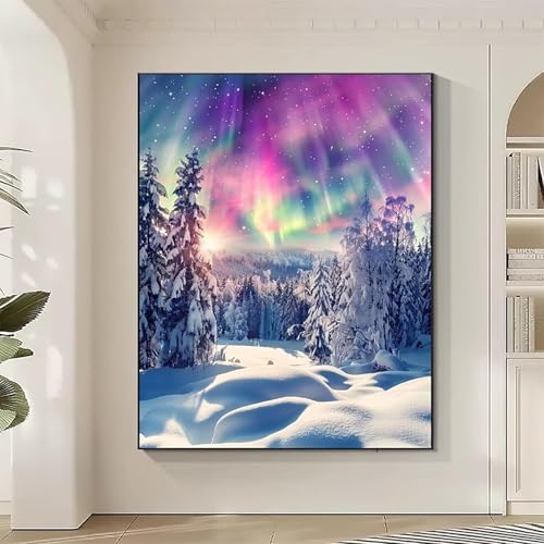 Landschaft Diamond Painting XXL Nordlicht Diamond Art Bilder Erwachsene Dimond Painting Kinder Mosaikherstellung Stickerei Kreuzstich Malerei Kits Basteln für Erwachsene, Geschenke 40x50CM 5-0 Landschaft Diamond Painting XXL Nordlicht Diamond Art Bilder Erwachsene Dimond Painting Kinder Mosaikherstellung Stickerei Kreuzstich Malerei Kits Basteln für Erwachsene, Geschenke 40x50CM 5-0 von JEPGFOU