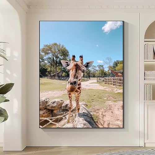 Tier Diamond Painting XXL Giraffe Diamond Art Bilder Erwachsene Dimond Painting Kinder Mosaikherstellung Stickerei Kreuzstich Malerei Kits Basteln für Erwachsene Wanddeko, Geschenke 70 x 95 cm J-N Tier Diamond Painting XXL Giraffe Diamond Art Bilder Erwachsene Dimond Painting Kinder Mosaikherstellung Stickerei Kreuzstich Malerei Kits Basteln für Erwachsene Wanddeko, Geschenke 70 x 95 cm J-N von JEPGFOU