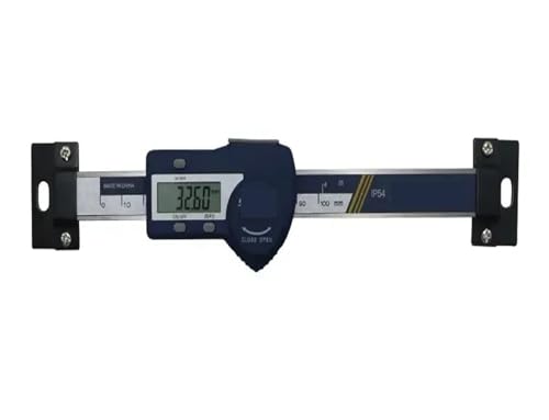 0–100/150/200/300 mm horizontaler Typ, digital, Edelstahl, lineares Maßstabslineal, Instrument, lineare horizontale Maßstabslineal-Werkzeuge Praktisch für Lesen(0-100mm) von JHXHFJXZ