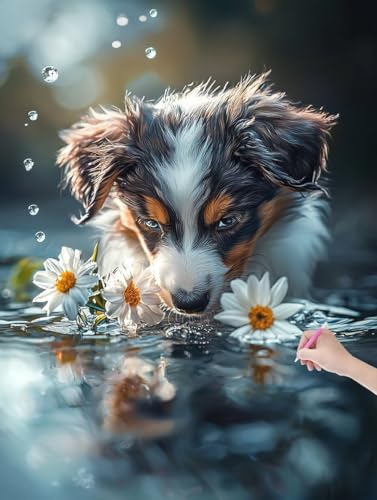 Diamond Painting Hund, DIY Diamant Painting Bilder Gänseblümchen für Erwachsene Anfänger, Vollbohrer Diamant Malerei Eckige Steine als Geschenke Weihnachten, Bastelset für Wanddeko, 60x80 cm, B-04 von JIAGUANG