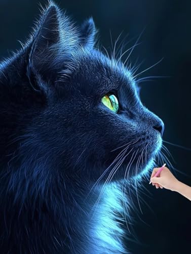 Diamond Painting Katze, DIY Diamant Painting Bilder Tiere für Erwachsene Anfänger, Vollbohrer Diamant Malerei Eckige Steine als Geschenke Weihnachten, Bastelset Erwachsene für Wanddeko, 30x40 cm, A-76 von JIAGUANG