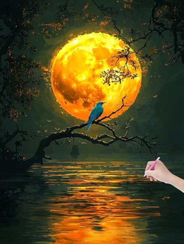 Diamond Painting Mond, DIY Diamant Painting Bilder Landschaft für Erwachsene Anfänger, Vollbohrer Diamant Malerei Eckige Steine als Geschenke Weihnachten, Diamond Bastelset für Wanddeko 50x70 cm, L-00 von JIAGUANG