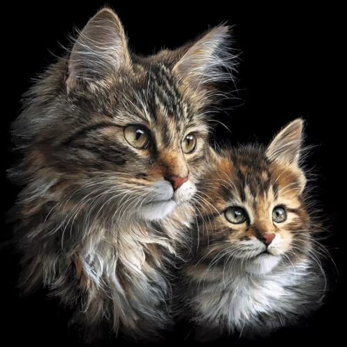 Diamond Painting Erwachsene Katze, Diamant Painting Bilder Tier, 5D Diamond Art Eckige Steine, DIY Strass Stickerei Kreuzstich Kunst Bastelset für Zimmer Wanddeko, Geschenke für Frauen 70x70 cm X-6 Diamond Painting Erwachsene Katze, Diamant Painting Bilder Tier, 5D Diamond Art Eckige Steine, DIY Strass Stickerei Kreuzstich Kunst Bastelset für Zimmer Wanddeko, Geschenke für Frauen 70x70 cm X-6 von JIANFREY