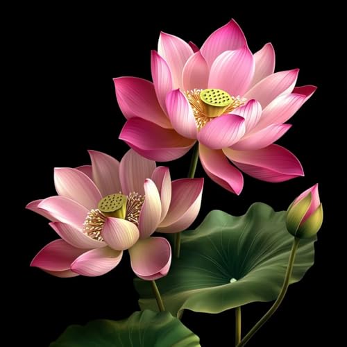 Diamond Painting Erwachsene Lotus, Diamant Painting Bilder Blume, 5D Diamond Art Eckige Steine, DIY Strass Stickerei Kreuzstich Kunst Bastelset für Zimmer Wanddeko, Geschenke für Frauen 40x40 cm I-0 Diamond Painting Erwachsene Lotus, Diamant Painting Bilder Blume, 5D Diamond Art Eckige Steine, DIY Strass Stickerei Kreuzstich Kunst Bastelset für Zimmer Wanddeko, Geschenke für Frauen 40x40 cm I-0 von JIANFREY