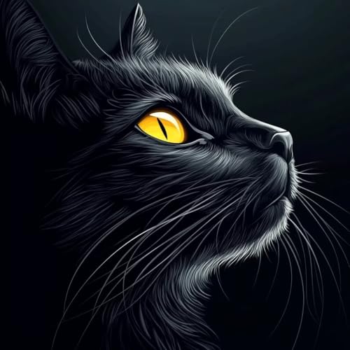 Diamond Painting Katze Diamant Painting Bilder Erwachsene Tier Crystal Art Set, DIY 5D Runder Vollbohrer Diamanten Malerei Stickerei Kreuzstich Kunst Handwerk, Deko Wohnzimmer Geschenke 60x60 cm C-0 Diamond Painting Katze Diamant Painting Bilder Erwachsene Tier Crystal Art Set, DIY 5D Runder Vollbohrer Diamanten Malerei Stickerei Kreuzstich Kunst Handwerk, Deko Wohnzimmer Geschenke 60x60 cm C-0 von JIANFREY