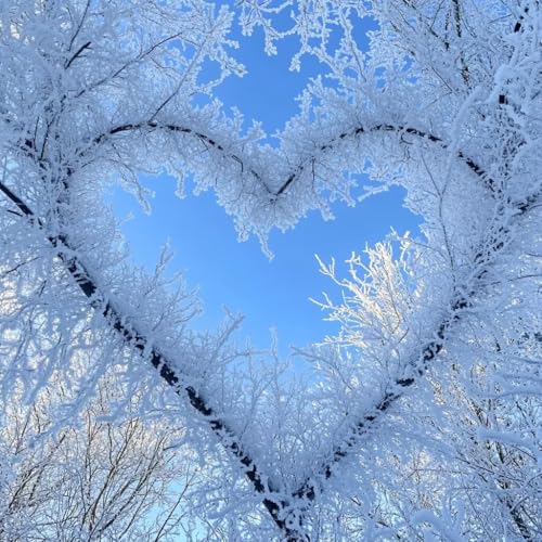 Diamond Painting Wald Diamant Painting Bilder Erwachsene Liebe Crystal Art Set, DIY 5D Runder Vollbohrer Diamanten Malerei Stickerei Kreuzstich Kunst Handwerk, Deko Wohnzimmer Geschenke 60x60 cm J-1 Diamond Painting Wald Diamant Painting Bilder Erwachsene Liebe Crystal Art Set, DIY 5D Runder Vollbohrer Diamanten Malerei Stickerei Kreuzstich Kunst Handwerk, Deko Wohnzimmer Geschenke 60x60 cm J-1 von JIANFREY
