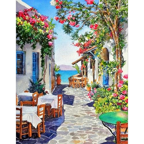 JICFDAO Diamond Painting Blumen 40x50cm DIY Diamond Painting Groß xxl Malen nach Zahlen Landschaft Meer Diamant Malerei Bilder Strasse Häuser Basteln Zur Entspannung Dekoration für Zuhause von JICFDAO