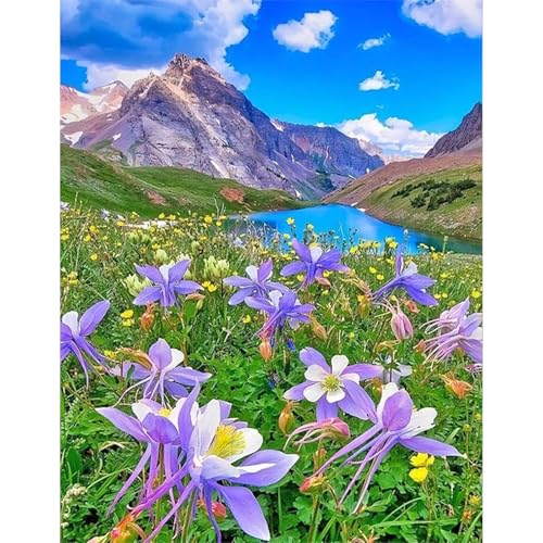 JICFDAO Diamond Painting Blumen Lila 40x50cm Diamond Painting Landschaft Berge und Meer Diamant Malerei Bilder Blumenwiese Malen nach Zahlen Groß xxl Entspannendes Basteln Als Wanddeko von JICFDAO