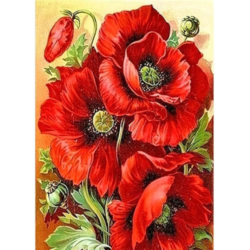 JICFDAO Diamond Painting Mohnblumen 30x40cm Diamant Malerei Bilder Blumen Diamond Painting Fluoreszierend Malen nach Zahlen Erwachsene Anfänger Rot Mohnblumen Vintage DIY Home Wall Decor JICFDAO Diamond Painting Mohnblumen 30x40cm Diamant Malerei Bilder Blumen Diamond Painting Fluoreszierend Malen nach Zahlen Erwachsene Anfänger Rot Mohnblumen Vintage DIY Home Wall Decor von JICFDAO