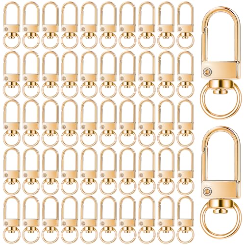 JIEYAO 50 Stück Gold Schlüsselanhänger Karabiner,Metall Karabinerhaken mit Drehgelenk Klein Krallenverschlüsse Karabinerverschlüsse mit D-Ring für DIY Keychain Schlüsselring Stecker von JIEYAO