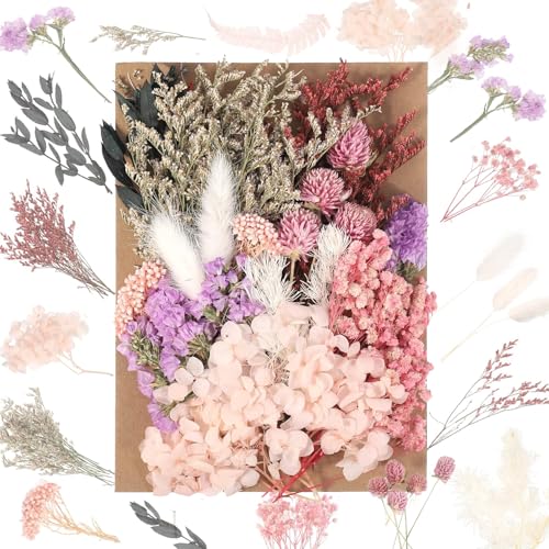 JIEYUCHU Trockenblumen, Trockenblumen Zum Basteln, Natürliche getrocknte Blumen, Trockenblumen Klein zum Basteln für für DIY Epoxidharz Scrapbook Zubehör Handgemachte Heimdekoration Hochzeit von JIEYUCHU