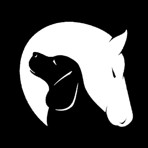 JIFENLI Autoaufkleber 12,7 cm * 11,8 cm Hund und Pferd Freundschaft Liebe Tiere Dekor Auto Vinyl Aufkleber Stiker Schwarz/Silber von JIFENLI