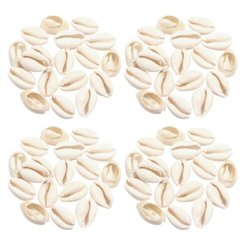 JIHUOO 100 Stück 16 bis 18 mm natürliche Kaurimuschelperlen, weiße Muschel-Haarperlen, Strandmuscheln, Abstandshalter, Schmuckherstellung, Kaurimuscheln, Sommermuscheln, Charms mit Löchern für JIHUOO 100 Stück 16 bis 18 mm natürliche Kaurimuschelperlen, weiße Muschel-Haarperlen, Strandmuscheln, Abstandshalter, Schmuckherstellung, Kaurimuscheln, Sommermuscheln, Charms mit Löchern für von JIHUOO