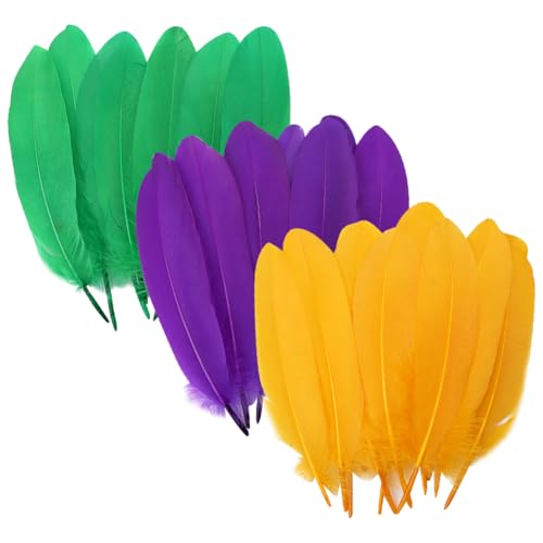 JIHUOO 150 Stück Mardi Gras Federn Große Gänsefedern Bastelfedern für Hüte Maskerade Party Federn Karneval Kostüm Federn zur Dekoration JIHUOO 150 Stück Mardi Gras Federn Große Gänsefedern Bastelfedern für Hüte Maskerade Party Federn Karneval Kostüm Federn zur Dekoration von JIHUOO