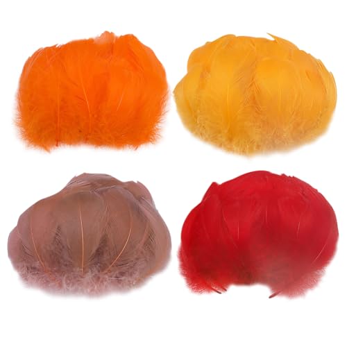 JIHUOO 400 Stück 5–8 cm kleine Herbstfedern, Thanksgiving-Farbe, Bastelfedern, Orange, Rot, Braun, Gänsefedern, flauschige Bastelfedern, Halloween-Kostüm, Federn, Traumfänger-Dekorationen JIHUOO 400 Stück 5–8 cm kleine Herbstfedern, Thanksgiving-Farbe, Bastelfedern, Orange, Rot, Braun, Gänsefedern, flauschige Bastelfedern, Halloween-Kostüm, Federn, Traumfänger-Dekorationen von JIHUOO