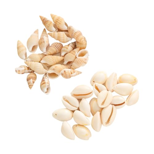 Muschel-Perlen mit Löchern, kleine Muschelperlen, Strand-Thema, Armband, Sommer-Muschel-Anhänger, echte natürliche Kaurimuscheln, Haar-Zopfzubehör, Muscheln, 40 Stück Muschel-Perlen mit Löchern, kleine Muschelperlen, Strand-Thema, Armband, Sommer-Muschel-Anhänger, echte natürliche Kaurimuscheln, Haar-Zopfzubehör, Muscheln, 40 Stück von JIHUOO