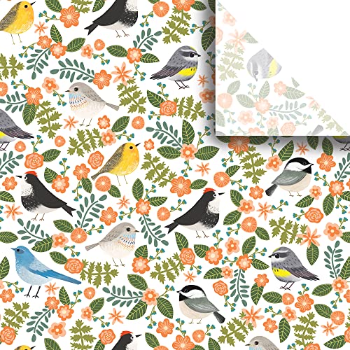 Jillson Roberts Seidenpapier, bedruckt, 24 Blatt, erhältlich in 8 verschiedenen Blumen-Designs, Vögel von JILLSON & ROBERTS