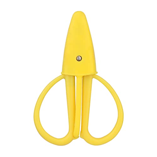 JINGYAN Schere Lace Scissors Wave Pattern Small Round Head Art Tools Stationery Craft Scissors von JINGYAN