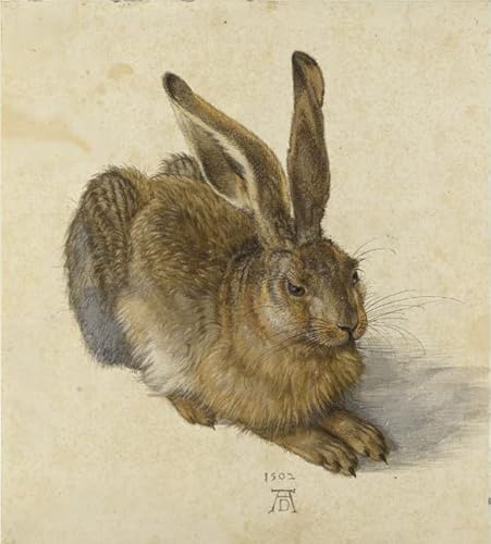 Diamond Painting Kits For Kids Albrecht Dürer《The Rabbit》 DIY 5D Diamond Paintings For Home Wall Decor Gift Diamond Painting Art 12 * 16In/30 * 40Cm von JINYANZZYJ