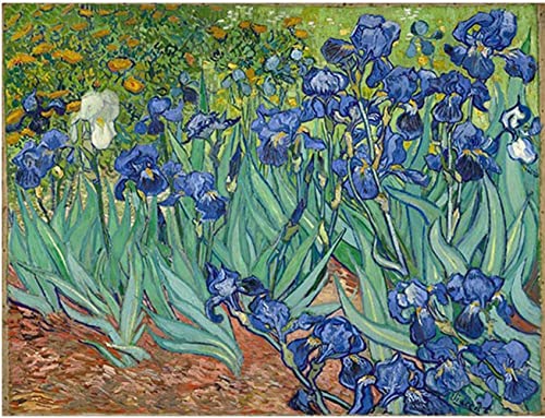 Diamond Painting Kits Iris Flowers by Van Gogh Full Drill DIY Handwerk für Erwachsene Home Wanddekoration 40 x 50 cm Diamond Painting Kits Iris Flowers by Van Gogh Full Drill DIY Handwerk für Erwachsene Home Wanddekoration 40 x 50 cm von JINYANZZYJ