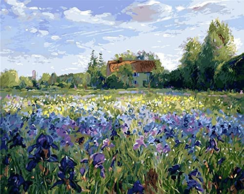 Malen nach Zahlen für Erwachsene, Claude Monet (Blumenfeld, violetter Reim), digitales Öl-Leinwand-Malset für Kinder, Geburtstag, Hochzeit, Dekorationen, Geschenke von JINYANZZYJ