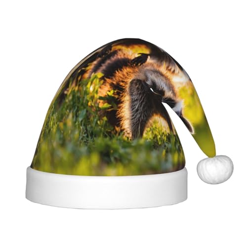 JIPOFD Niedliche Waschbär-Weihnachtsmannmütze, Weihnachtsmütze, Uni, weich und bequem, verdickte Weihnachtsmütze JIPOFD Niedliche Waschbär-Weihnachtsmannmütze, Weihnachtsmütze, Uni, weich und bequem, verdickte Weihnachtsmütze von JIPOFD