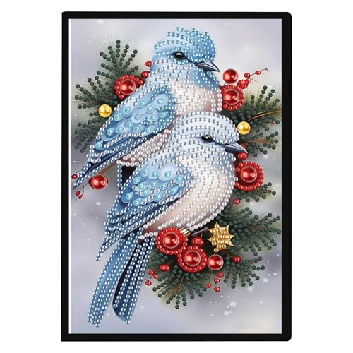 JISHSHAY Weihnachten Diamond Painting Notizbuch Vögel Diamant Malerei Block Notiz Diamant Stickerei Notizbuch weißes Blatt Basteln Erwachsene Notebook Stickerei Notizbuch Kreuzstich Tagebuch A5 JISHSHAY Weihnachten Diamond Painting Notizbuch Vögel Diamant Malerei Block Notiz Diamant Stickerei Notizbuch weißes Blatt Basteln Erwachsene Notebook Stickerei Notizbuch Kreuzstich Tagebuch A5 von JISHSHAY