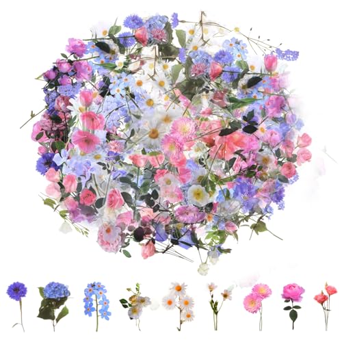JIYIN 120 Stück Aufkleber Blumen Sticker, Transparente Scrapbooking Aufkleber Vintage Bunte Blumenaufkleber Pflanzen Aufkleber für Scrapbook Fotoalbum Tagebücher Karten (stil 1) von JIYIN