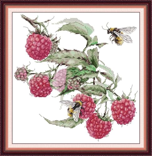 JIZOQE DIY Stickgarnituren Kreuzstich-Set,11CT Gestempelt Stickerei-Starter-Kit,Einfach Cross Stitch Craft für Erwachsene Sticken-Preiselbeeren und Bienen 45x45cm(Rahmenlos) von JIZOQE