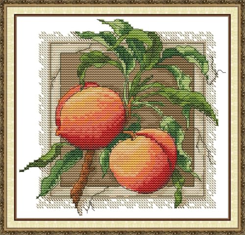 JIZOQE Kreuzstich Stickpackungen Vorgedruckt 11CT DIY Stickpackung Set-Rote Aprikose 45x45cm(Rahmenlos) von JIZOQE