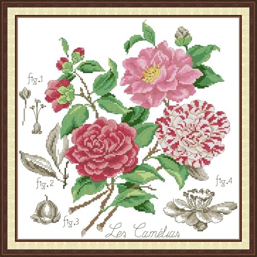 JIZOQE Kreuzstich Stickpackungen Vorgedruckt Set Erwachsene, Stickvorlagen Stickbilder Kreuzstich Stickbild Set für Erwachsene Anfänger Cross Stitch Kit-Kamelie 45x45cm(Rahmenlos) von JIZOQE