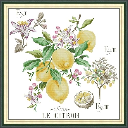 JIZOQE Kreuzstich Stickpackungen Vorgedruckt Set Erwachsene, Stickvorlagen Stickbilder Kreuzstich Stickbild Set für Erwachsene Anfänger Cross Stitch Kit-Zitrone 45x45cm(Rahmenlos) von JIZOQE