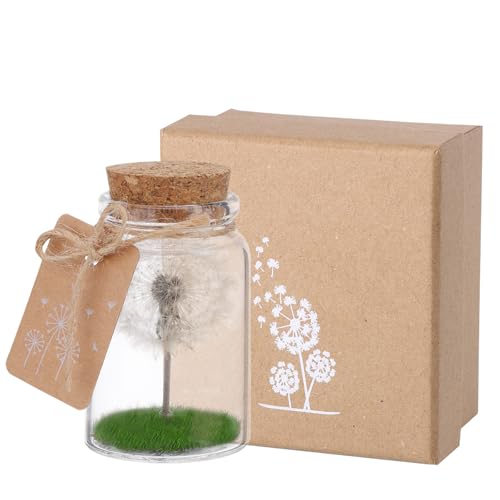 JIZZU Wunscherfüller, Echte Pusteblume Im Glas Mit Geschenkbox, Glücksbringer Weihnachtsgeschenke Geschenke für Frauen & Freundin, Wunschgutschein Schutzengel Handgefertigt, Blumen Geschenk JIZZU Wunscherfüller, Echte Pusteblume Im Glas Mit Geschenkbox, Glücksbringer Weihnachtsgeschenke Geschenke für Frauen & Freundin, Wunschgutschein Schutzengel Handgefertigt, Blumen Geschenk von JIZZU