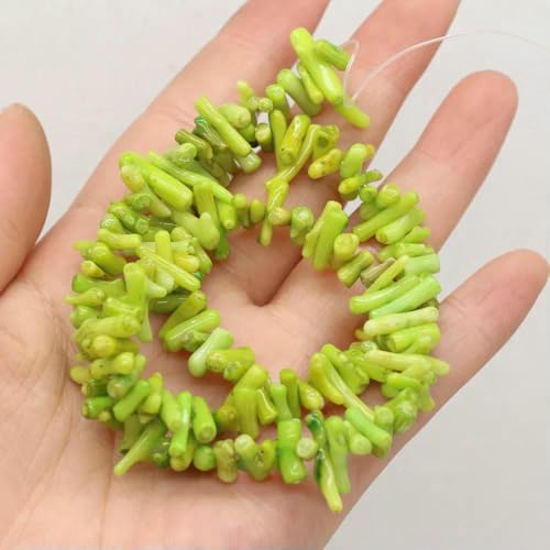 Naturstein-Korallenperlen, unregelmäßige Form, lose Perlen, Isolationsperlen für die Schmuckherstellung, DIY, für Armband-Halsketten-Zubehör, grün, 6 x 12 mm Naturstein-Korallenperlen, unregelmäßige Form, lose Perlen, Isolationsperlen für die Schmuckherstellung, DIY, für Armband-Halsketten-Zubehör, grün, 6 x 12 mm von JMGDJ