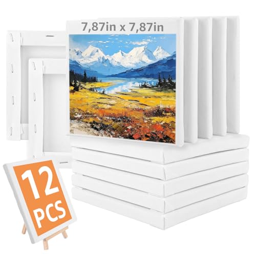 JMIATRY 12 Stück Leinwand 20x20CM, Leinwand zum Bemalen, Leinwände zum Malen für Öl-, Acryl, Temperafarben, Gouache Malerei JMIATRY 12 Stück Leinwand 20x20CM, Leinwand zum Bemalen, Leinwände zum Malen für Öl-, Acryl, Temperafarben, Gouache Malerei von JMIATRY