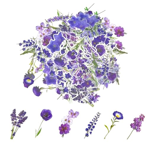 Sticker Blumen Aufkleber 200 Stk Blumensticker Blumen Flower Pflanzen Stickers Transparente Scrapbooking Blumenaufkleber for Scrapbook Sticker Blumen Aufkleber 200 Stk Blumensticker Blumen Flower Pflanzen Stickers Transparente Scrapbooking Blumenaufkleber for Scrapbook von JMOOT