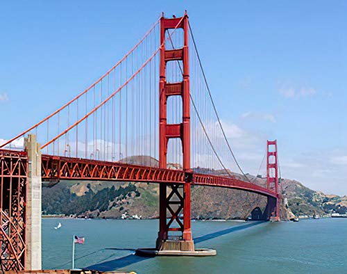 JNNPY Stickbilder Vorgedruckt Kreuzstich,11CT Kreuzstich Stickpackungen Vorgedruckt,Golden Gate Bridge in San Francisco,Kreuzstich Set Vorgedruckt für Wandkunst-Heimdekoration 40X50cm von JNNPY